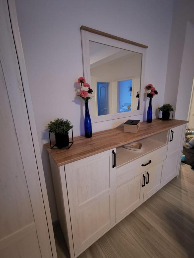 Karra Residence Timisoara - Autorizat Ministerul Turismului 外观 照片