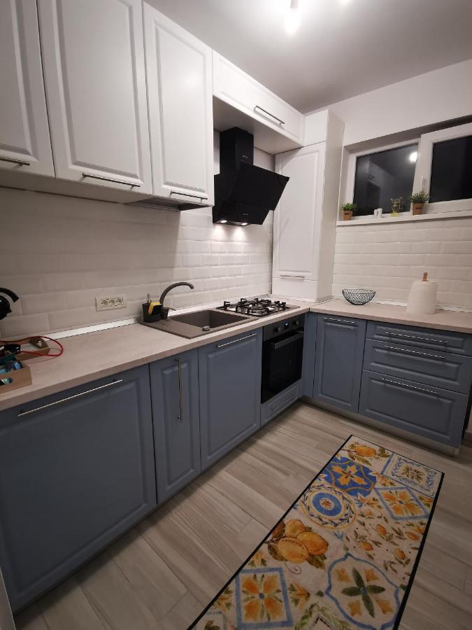 Karra Residence Timisoara - Autorizat Ministerul Turismului 外观 照片