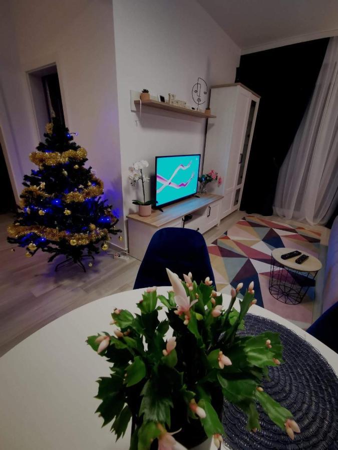 Karra Residence Timisoara - Autorizat Ministerul Turismului 外观 照片